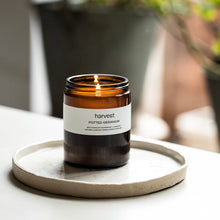画像をギャラリービューアに読み込む, Potted Geranium Candle - harvest