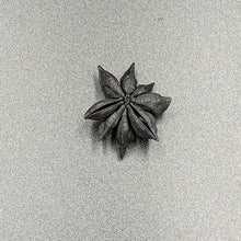 画像をギャラリービューアに読み込む, HANASUMI (花炭) - BLACK LETTERS