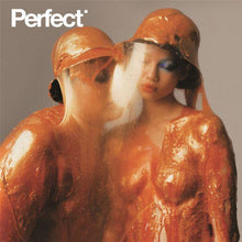 画像をギャラリービューアに読み込む, Perfect / Issue 01 - Magazine