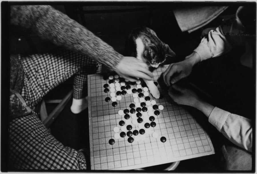 Afterword - Masahisa Fukase / 深瀬昌久 - 初版本 – (ki:ts) JP Afterword - Masahisa Fukase / 深瀬昌久 - 初版本 – (ki:ts) JP