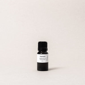 Eucalyptus Essential Oil - harvest